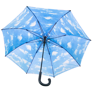 Air Belgium “In the sky” umbrella